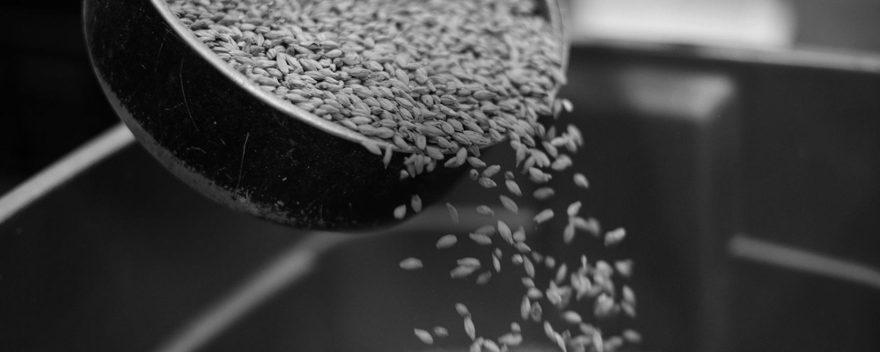 Slider afbeelding: header-1_1920x0.jpg